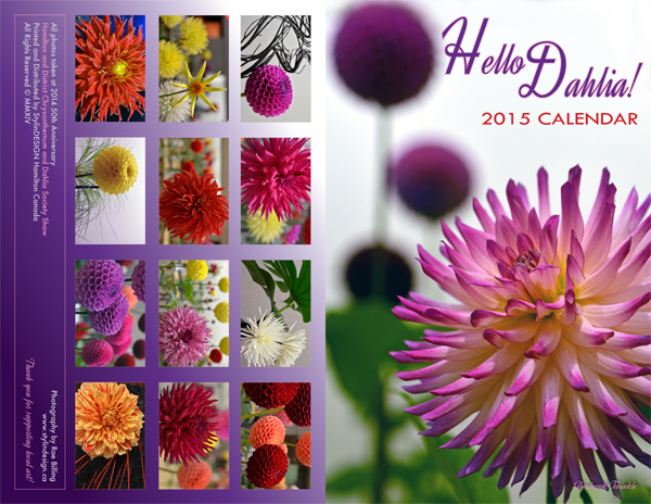 2015 Hello Dahlia! Calendar Cover
